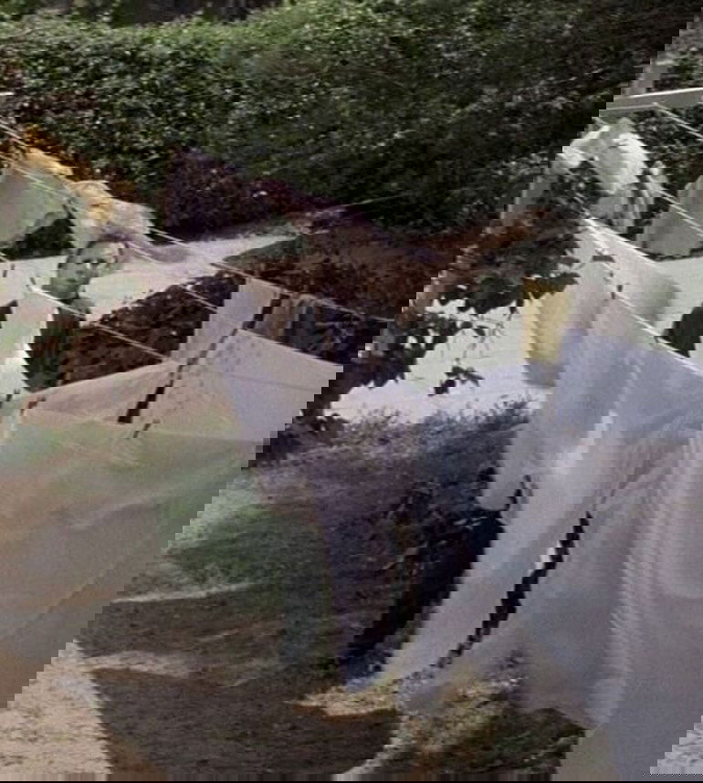 jtilb instagram image archive image