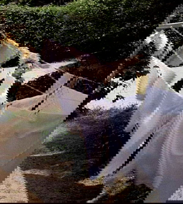 jtilb image ~ Altpins