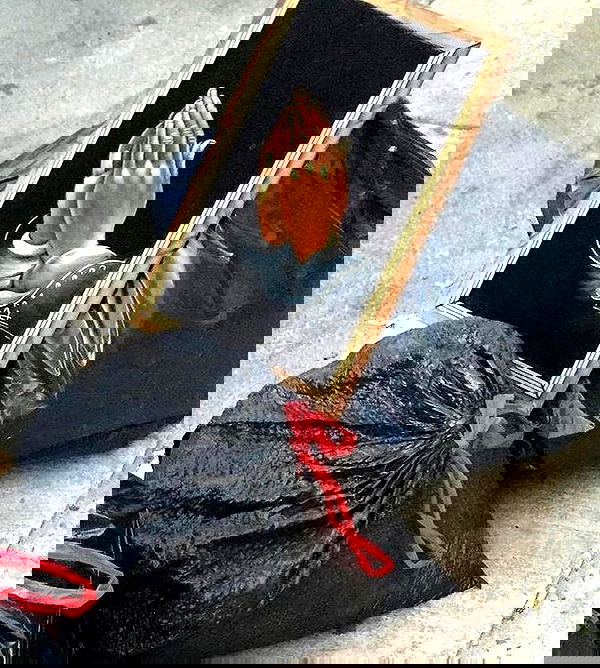 jtilb image ~ Altpins