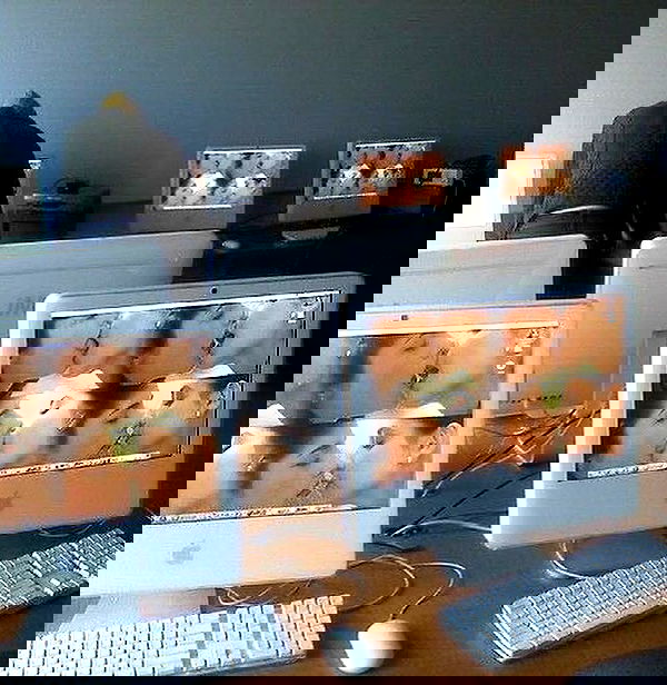 jtilb image ~ Altpins