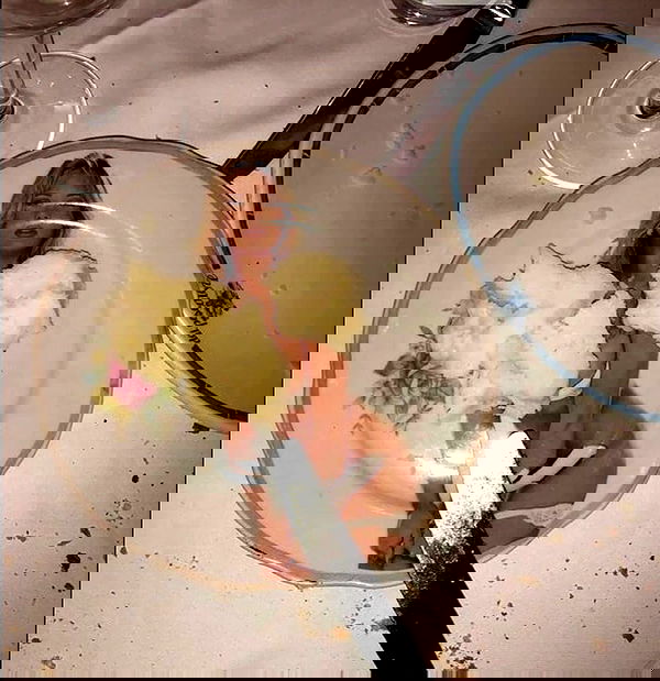 jtilb image ~ Altpins