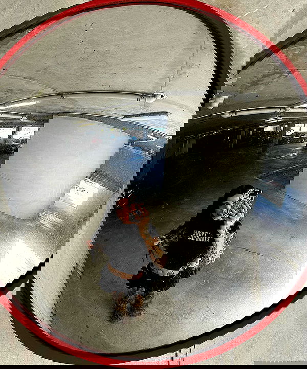 jtilb image ~ Altpins