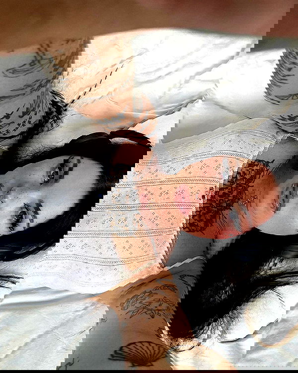 jtilb image ~ Altpins