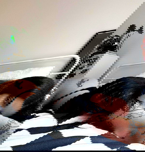 jtilb image ~ Altpins