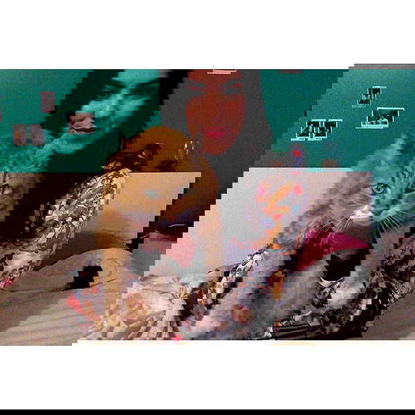 jtilb image ~ Altpins