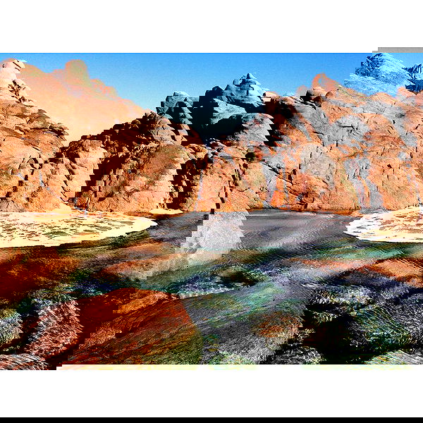 jtilb image ~ Altpins