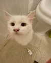juani.biderman Altpins Profile Picture