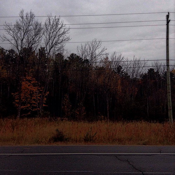 juliaaburch instagram image archive image