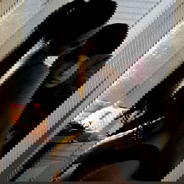 juliaelzz juliaelzz archive image