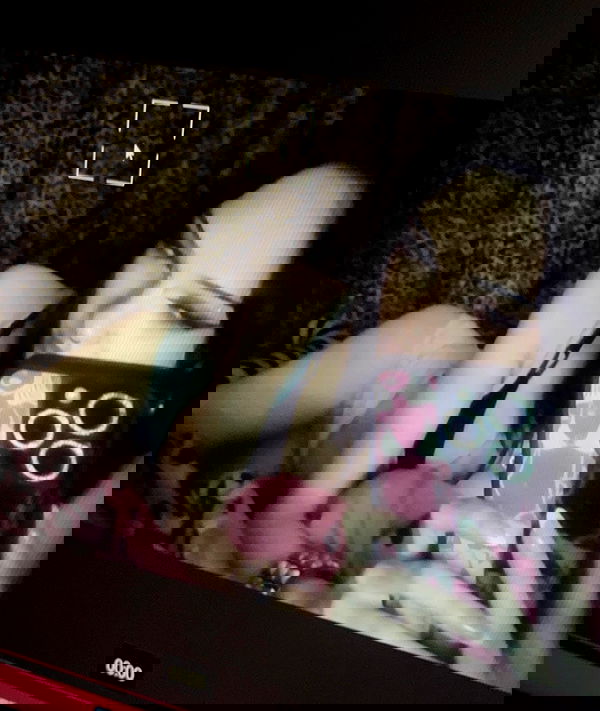 juliaelzz juliaelzz archive image