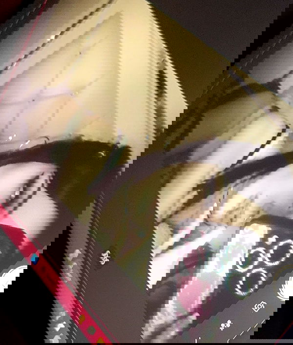 juliaelzz juliaelzz archive image