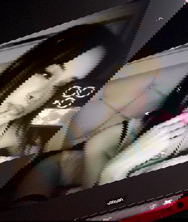 juliaelzz juliaelzz archive image