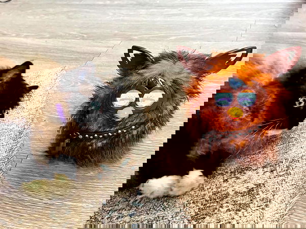 juliaernst juliaernst archive image