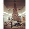 julieta.allegretti Altpins Profile Picture