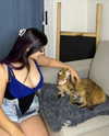 julieta.allegretti Altpins Profile Picture