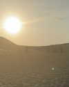 julieta.allegretti Altpins Profile Picture