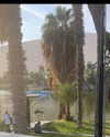 julieta.allegretti Altpins Profile Picture
