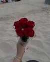 julieta.allegretti Altpins Profile Picture