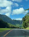 junee.berri Altpins Profile Picture