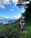 juneeberri Altpins Profile Picture