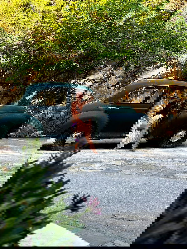 justlerman image ~ Altpins