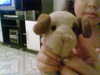 jzabessa Altpins Profile Picture