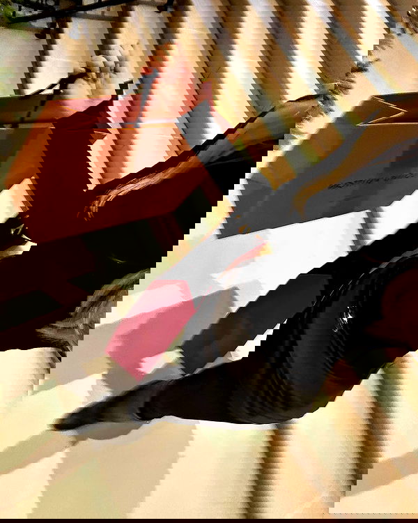 kaciiimae image ~ Altpins