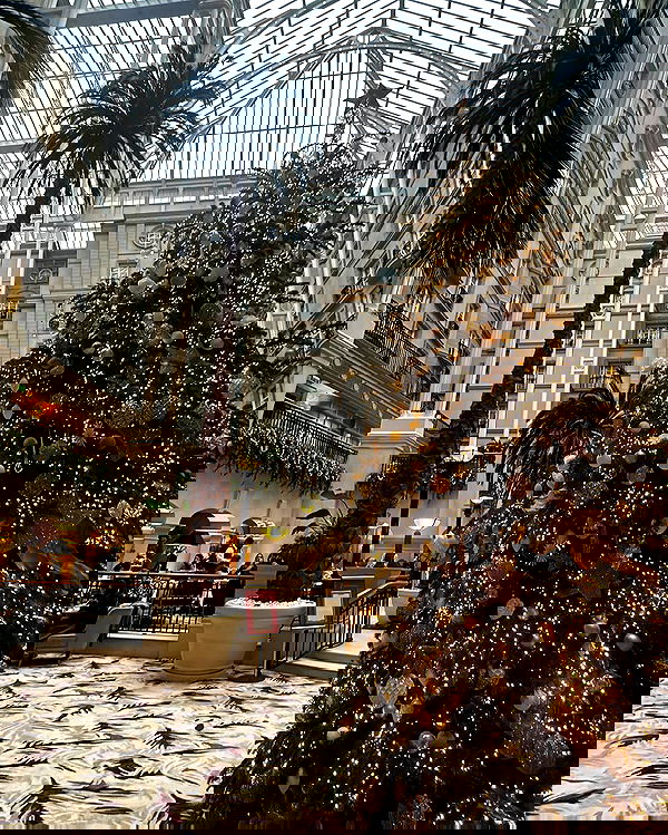 kaciiimae image ~ Altpins