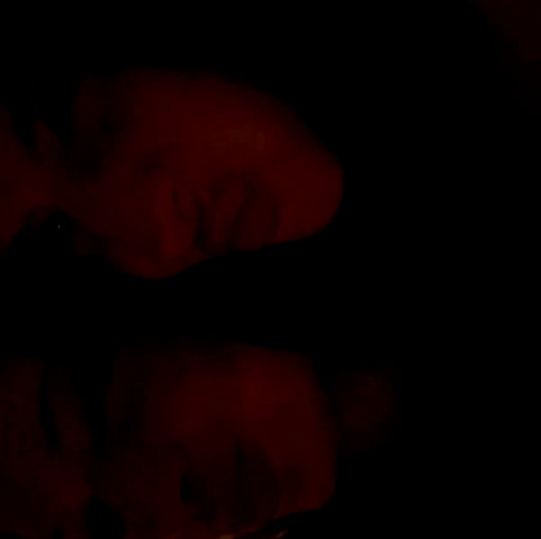 kaleenaisabell instagram image archive image