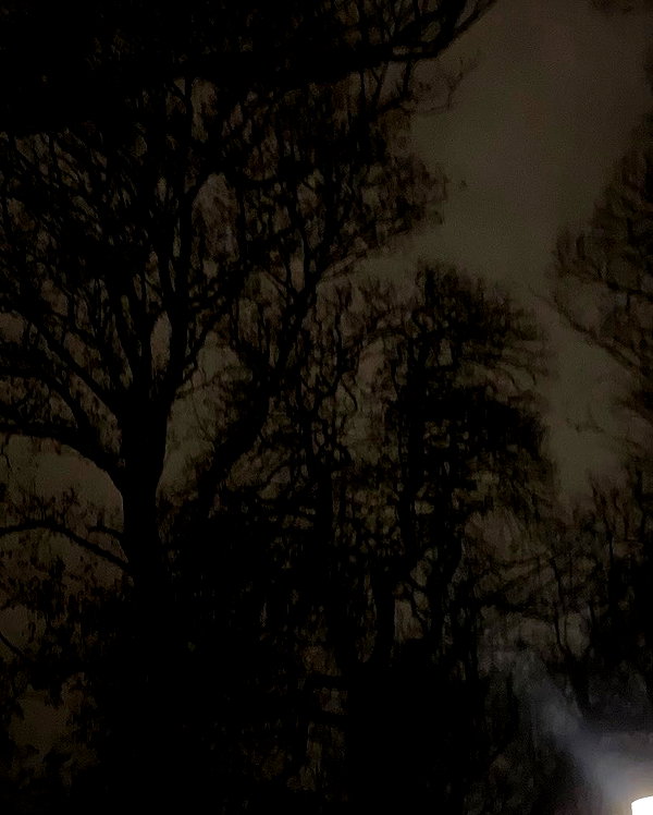 kaleenaisabell instagram image archive image