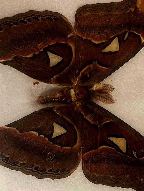 kaleenaisabell instagram image archive image