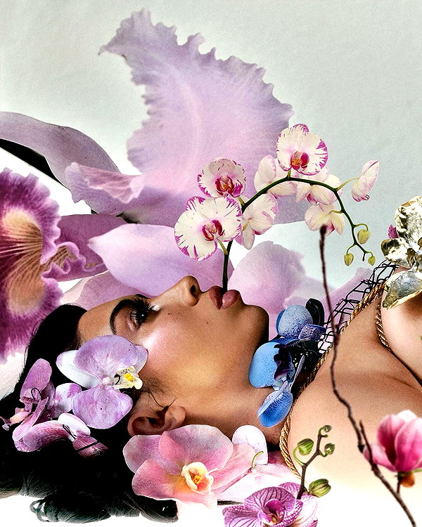 kaliuchis instagram image archive image