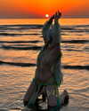 kamisamalisa Altpins Profile Picture