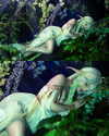 kamisamalisa Altpins Profile Picture