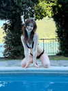 kamisamalisa Altpins Profile Picture