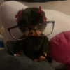 karis.gutz Altpins Profile Picture