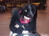 karis.gutz Altpins Profile Picture