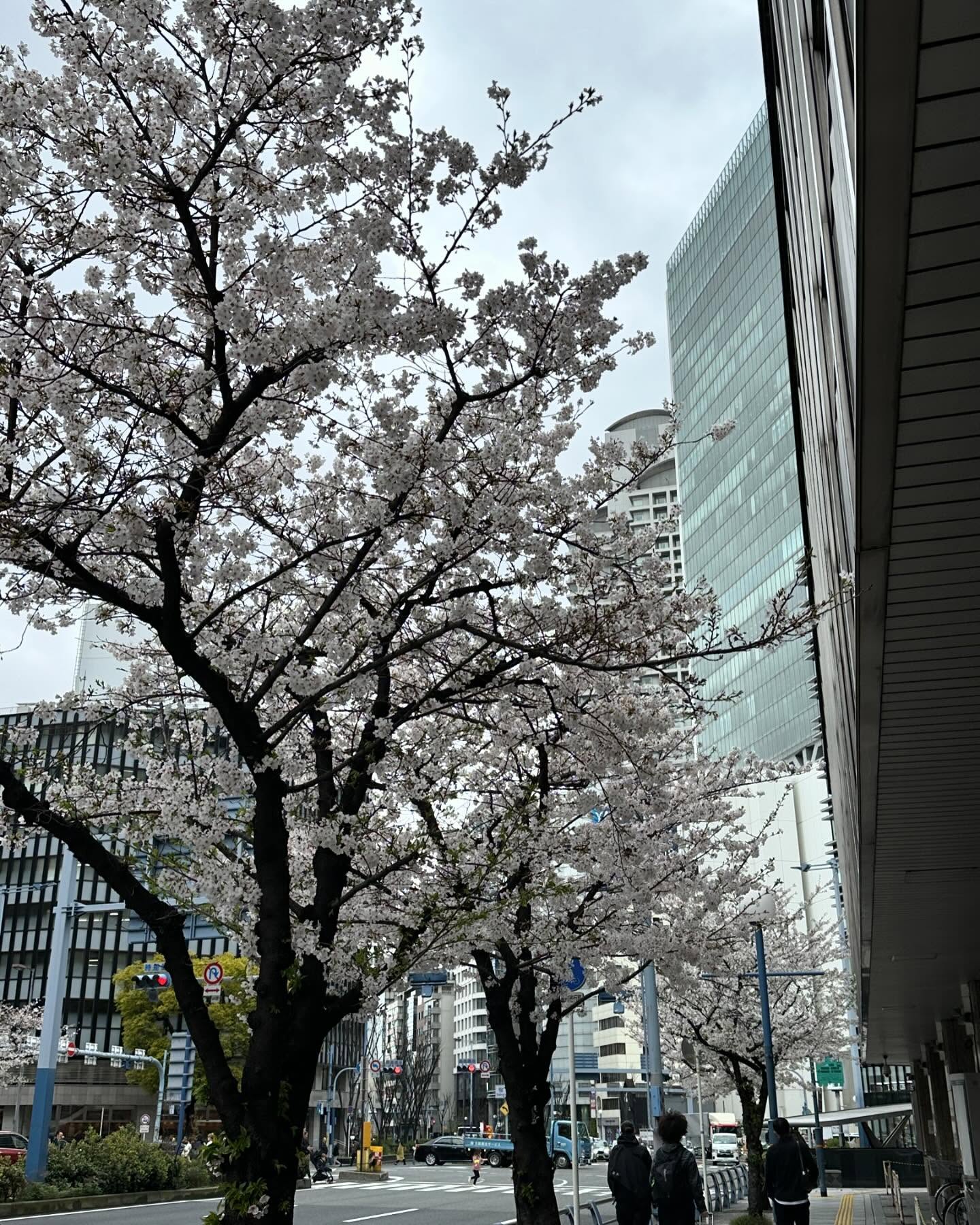 kasumi_sen instagram image archive image