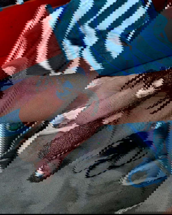 kasumi_sen image ~ Altpins