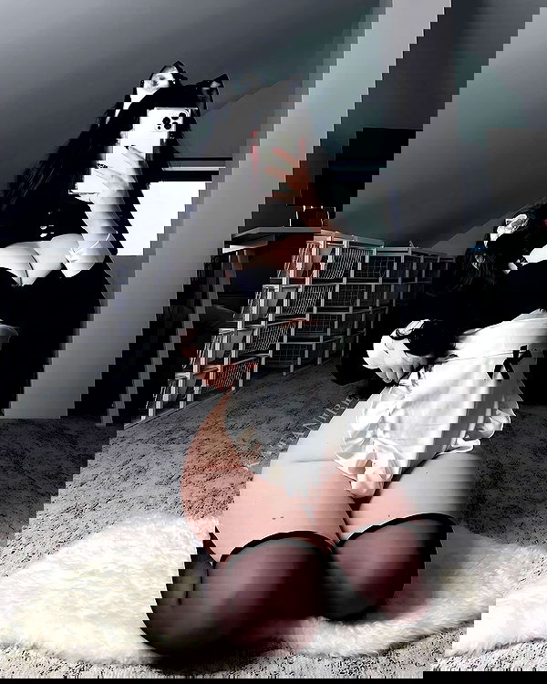 katanires katanires archive image