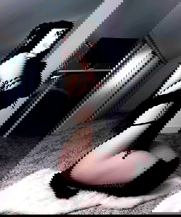 katanires katanires archive image