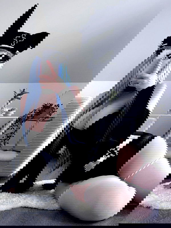 katanires katanires archive image