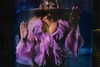 katarina.deme Altpins Profile Picture