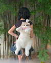 katearucan Altpins Profile Picture