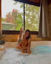 katia_z.k Altpins Profile Picture