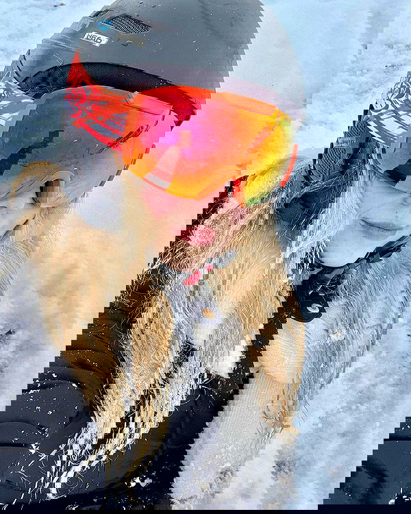 katia_z.k image ~ Altpins