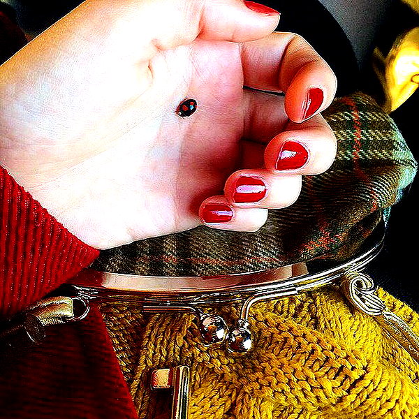 katie_westwood instagram image archive image