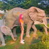 katie_westwood Altpins Profile Picture