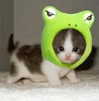 katie_westwood Altpins Profile Picture