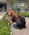 katie_westwood Altpins Profile Picture